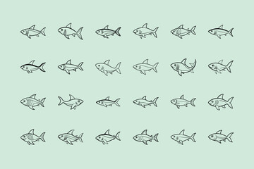 Red Tail Shark, aquarium fish, line art illustration