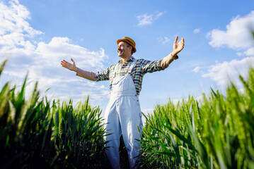 Smiling farmer standing in green wheat field with arms outstretched.