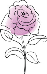 Elegant Rose Illustration with Watercolor Texture Featuring a Single Line Drawing Style with a Delicate Pink Wash on a White Background Perfect for Design Elements
