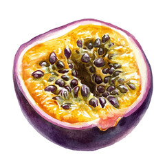 Passion Fruit Slice, watercolor drawing vector, isolated on a white background.