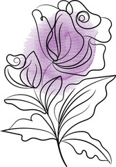Elegant Rose Line Art with Watercolor Accent a Minimalist Floral Design Featuring Delicate Outlines and a Soft Purple Wash Perfect for Invitations and Creative Projects