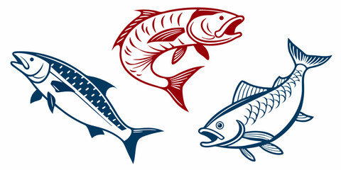 Fototapeta premium fish vector illustration