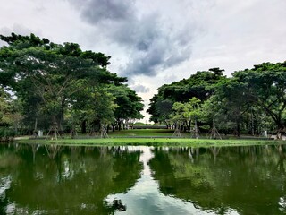 Lush Green Park Trees Reflecting in a Tranquil Lake