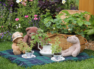 A Teddy Bears Picnic on a Garden Blanket.