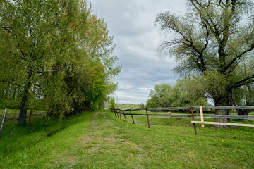 Spring landscape Rural road Сountry fence Good weather Background Banner