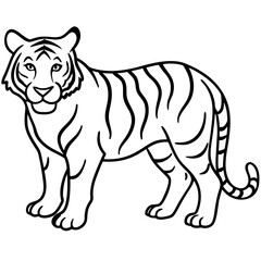 Tiger Trace line art vector 