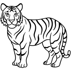 Tiger Trace line art vector 