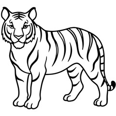 Tiger Trace line art vector 