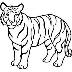 Tiger Trace line art vector 