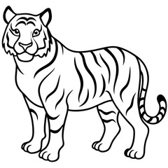 Tiger Trace line art vector 