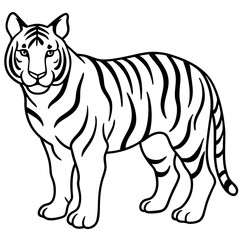 Tiger Trace line art vector 