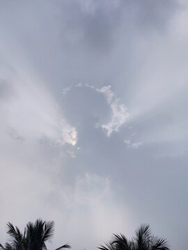 octopus shaped clouds in the sky