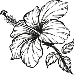 Elegant black and white floral illustration of a vintage lily pattern with leaves, perfect for nature-inspired design