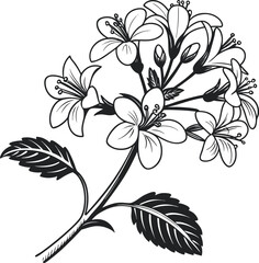 Black and white floral patterns featuring vintage blossoms and elegant leaf silhouettes offer timeless decoration and seamless spring nature design