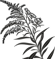 Black and white seamless floral patterns with elegant flower and leaf elements