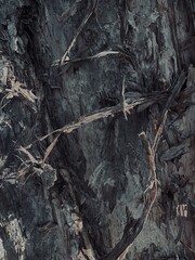 Capture the quiet coexistence of trees and blooming flowers in a public park setting. This series...
