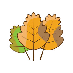 Autumn Maple symbol icon