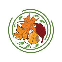 Autumn Maple symbol icon