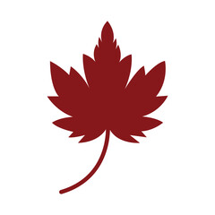 Autumn Maple symbol icon