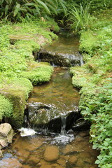 A Garden Stream with a Small Two Step Waterfall.