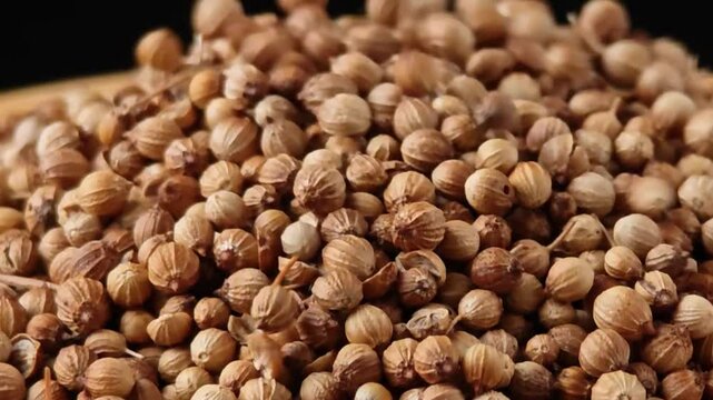 Dried coriander seeds in a wooden bowl