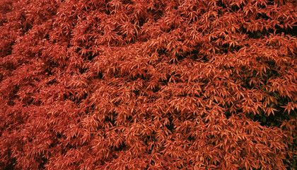 Autumn Nature Texture Wall Art