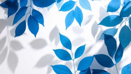 Blue and White Dried Leaves Silhouette Shadow Play on White Background