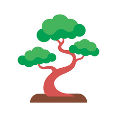 Bonsai Tree With Stylized Spiral Trunk