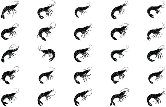 golda chingri vecctor