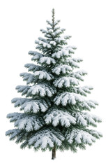 Snow-covered evergreen tree with lush green branches layered in dense white snow on transparent background.