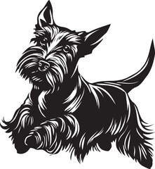 jumping scottish terrier dog