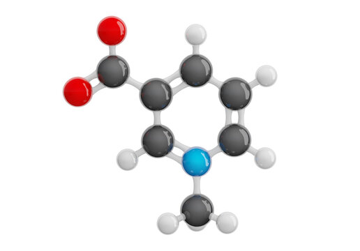 Trigonelline molecule isolated on transparent background. Detailed 3D model. Molecular formula: C7H7NO2. Chemical model: Ball and Stick. 3D illustration.