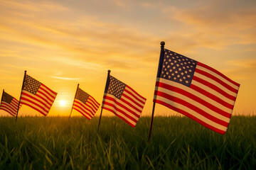 American flags sunset field patriotism remembrance