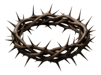 A detailed crown of thorns with sharp spikes intricately intertwined, symbolizing sacrifice and suffering, on transparent background.