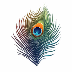 Obraz premium Isolated Peacock Feather with Vibrant Colors on White