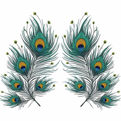 Obraz premium Peacock Feathers Illustration Exotic Bird Plumes on White