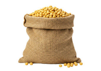 Isolated Burlap Sack Filled with Soybeans