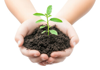 PNG Young plant holding nature hands.