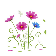 summer flowers on a white background