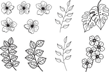 set of 12 minimalist line art wildflowers