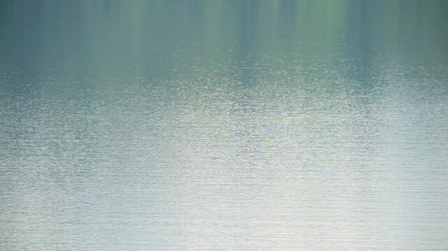 Small ripples on the surface of calm lake water. Abstract texture background of water surface. Ecology and environment concept. For transition or overlay. Footage 4K, 60Fps