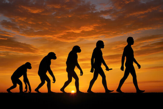 Human evolution sunset silhouette stages of mankind