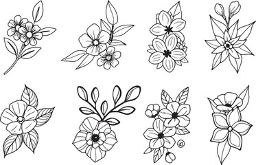 set of 12 minimalist line art wildflowers
