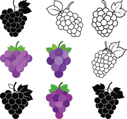 Variety of Grape Design: Illustrative designs of different grapes, a symphony of shape, color, and style, showcasing the fruit's versatility.