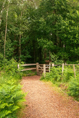 Views of A Public Country Parkland