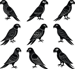 Fototapeta premium Parrots in Harmony: An exquisite illustration showcases a flock of elegant parrots, each bird impeccably rendered in striking detail.
