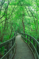 Fototapeta premium Views of A Public Country Parkland