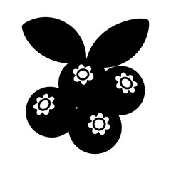 Black and white illustration of blueberries with leaves