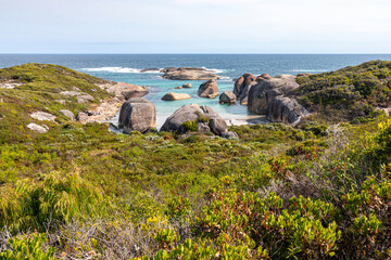 Curious rock formations beside the Southern Ocean at Elephant Rocks on the edge of William Bay National Park in the Shire of Denmark, Great Southern region of Western Australia, WA, Australia.