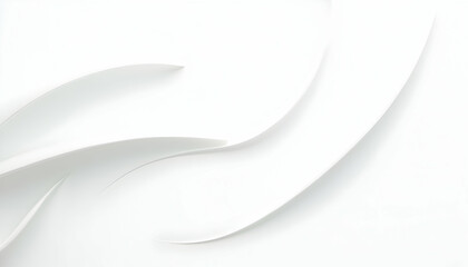 Abstract White Curved Lines Minimalist Background Design